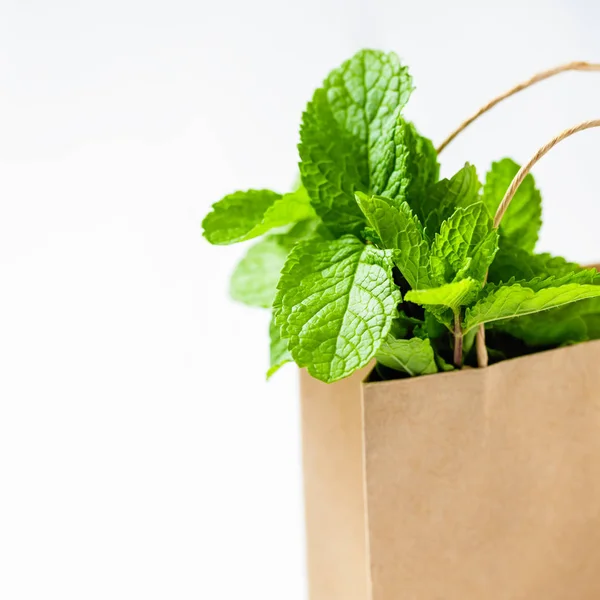 Fresh Mint Bunch Paper Shopping Bag Isolated White — Stock Photo, Image