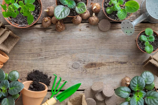 Plusieurs pots de fleurs de plante d'intérieur. Planter des fleurs en pot et de l'équipement pour les plantes en pot. Espace de copie pour le texte. Vue de dessus, plan plat . — Photo