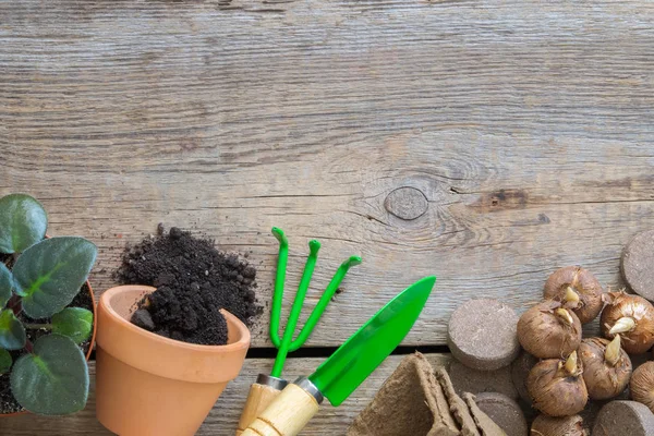 Flowerpot with ground, garden equipment for pot plants and bulbs of spring flowers. Copy space for text. Top view, flat lay. — Stock Image Flowerpot with ground, garden equipment for pot plants and bulbs of spring flowers. Copy space for text. Top view, flat lay. Royalty Free Stock Photos
