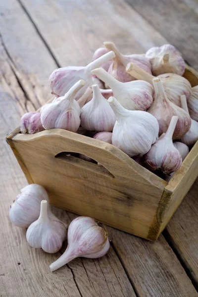 A lot of garlic in wooden box on old kitchen table. — Stock Photo, Image