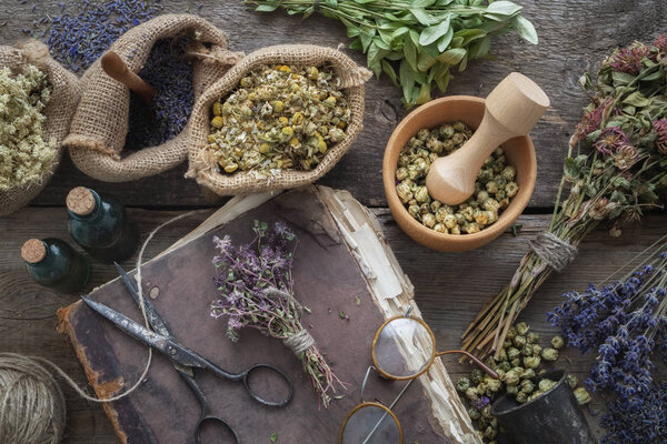 Old book, eyeglasses, Tincture bottles, assortment of dry healthy herbs, mortar. Herbal medicine. Top view, flat lay.
