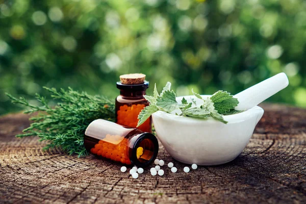 Bottle Homeopathic Globules Mortar Green Nettle Mint Leaves Juniper Twigs — Stock Photo, Image