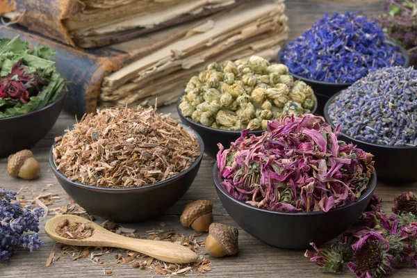 Schalen Mortels Van Droge Geneeskrachtige Kruiden Lavendel Korenbloem Conefloer Madeliefjes — Stockfoto