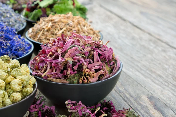 Schalen Van Droge Geneeskrachtige Kruiden Conefloges Korenbloemen Madeliefjes Lavendel Eikenschors — Stockfoto