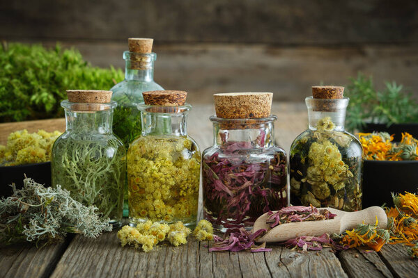 Bottles of tincture or infusion of healthy medicinal herbs and healing plants on wooden table. Herbal medicine.