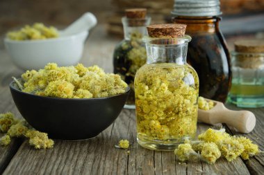 Helichrysum arenyum infüzyon şişesi ve cüce sonsuza kadar veya ahşap masada kurumuş kasede kurumuş çiçekler. Arka planda tentürler ve yağ şişeleri.