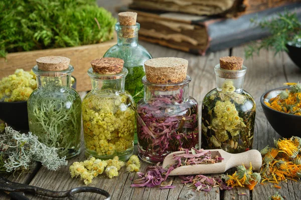 Egészséges Gyógynövényeket Gyógynövényeket Tartalmazó Üvegek Fából Készült Asztalon Gyógynövény Régi — Stock Fotó