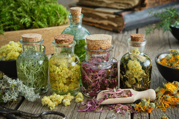 Bottles of infusion of healthy medicinal herbs and healing plants on wooden table. Herbal medicine. Old books and box of healthy moss on background. 