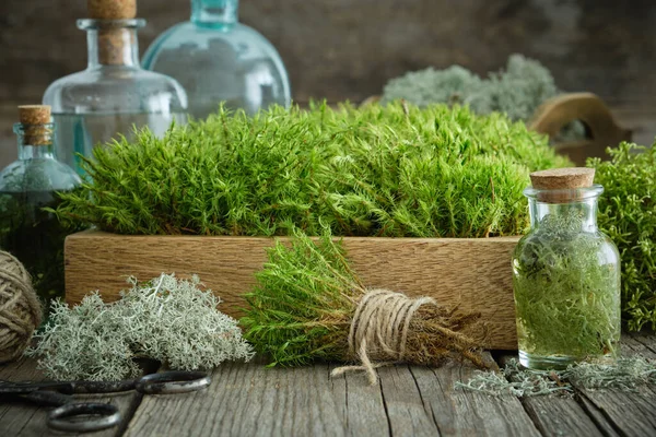 Botol Infus Yang Sehat Kotak Kayu Dari Lumut Rambut Biasa — Stok Foto