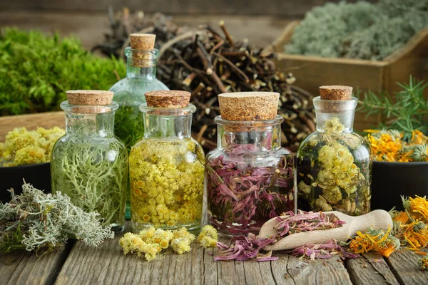 一盒瓶瓶瓶的健康药草和药用植物注入木桌 木瓜的茎和根 健康的苔藓和地衣为背景 — 图库照片