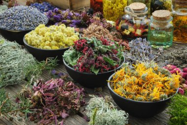 Bowls of dry medicinal herbs - lavender, cornflower coneflower, marigold, rose, Helichrysum flowers, healthy moss and lichen. Healing herbs assortment and infusion bottles on table. Herbal medicine. clipart