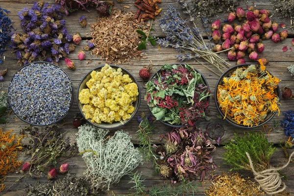 Schalen Van Droge Geneeskrachtige Kruiden Lavendel Conefloer Goudsbloem Roos Helichrysum — Stockfoto