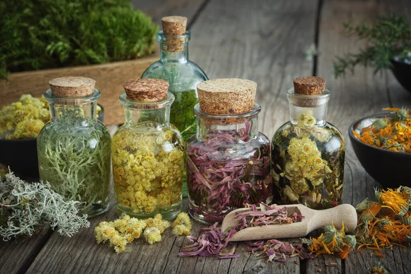 健康的な薬草や乾燥治癒植物やテーブルの上の花のチンキや注入のボトル 漢方薬 — ストック写真