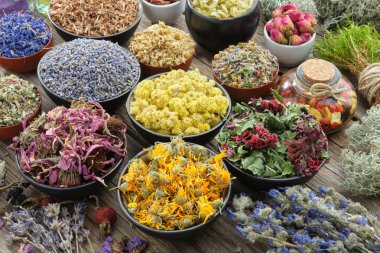 Bowls of dry medicinal herbs - lavender, cornflower, echinacea, marigold, rose, daisies, oak bark, Helichrysum, healthy moss and lichen. Healing herbs assortment. Herbal medicine. clipart