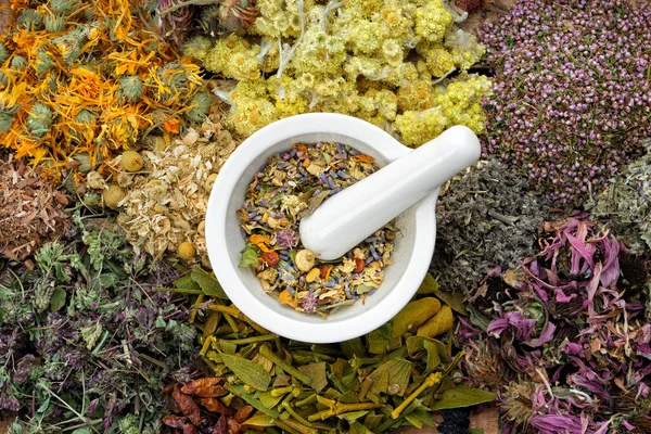 Healing Herbs Mortar Medicinal Herbs Thyme Coneflower Marigold Daisies Helichrysum — Stock Photo, Image