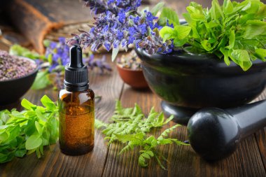 Düşük yağ şişesi ya da infüzyon, havan mersini dalı ve sağlıklı bugleherb çiçekleri, eğreltiotu yaprakları. Bir kase şifalı ot ve arka planda eski bir kitap. Alternatif tıp.