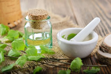 Cam şişe huş ağacı yağı, bitkisel karışım ya da meyve suyu. Yaprakları, makasları ve havanı olan ağaç dalları..