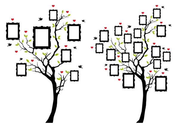 Árbol genealógico con marcos de fotos, vector — Vector de stock