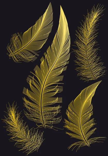 Gold feathers, vector drawings — Stock Vector