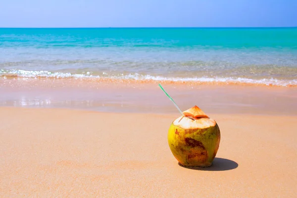 La linea di mare con cocco sdraiato sulla spiaggia — Foto Stock