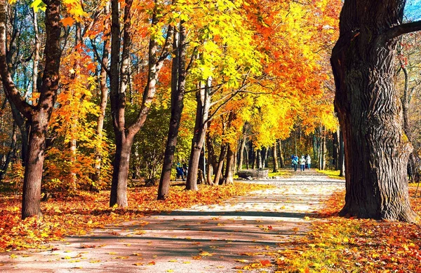 El camino en el viejo parque en otoño — Foto de Stock