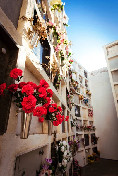 A virágok a hamvasztásos sírok a temető Jogdíjmentes Stock Képek