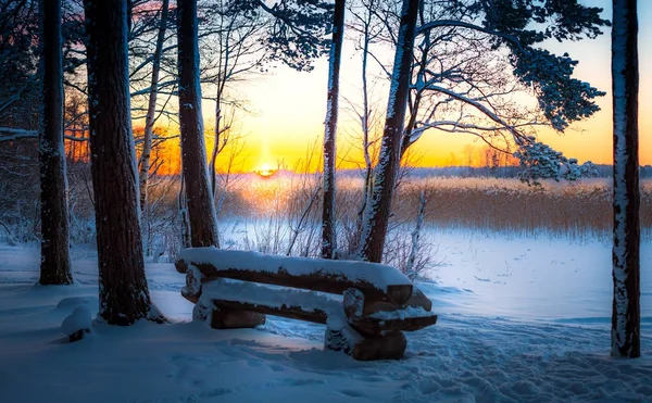 Een breed sneeuw ruimte met een houten bankje bij zonsondergang — Stockfoto