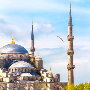 İstanbul 'da Sultanahmet Camii' nin uçan martılı manzarası