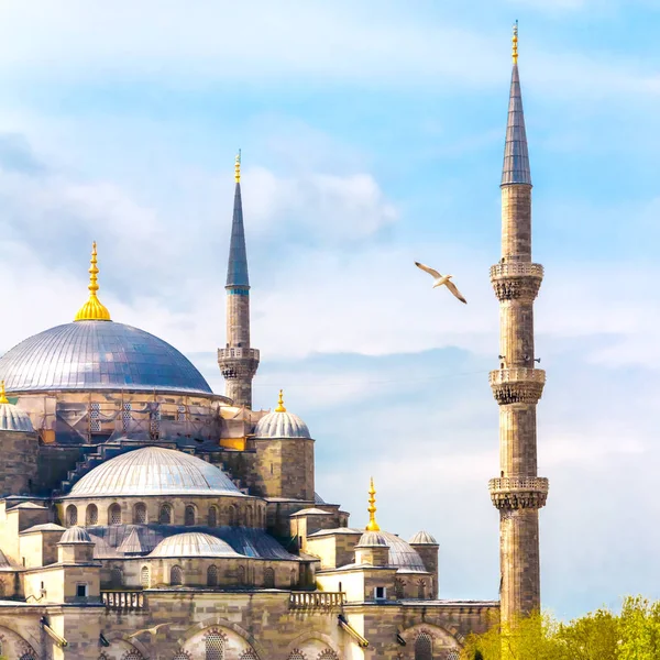 İstanbul 'da Sultanahmet Camii' nin uçan martılı manzarası — Stok fotoğraf