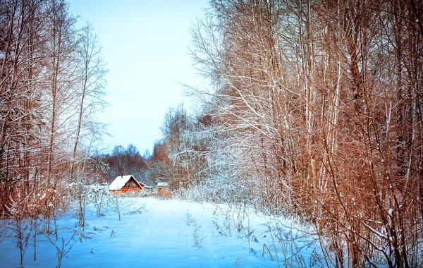 雪の森の中に佇む孤独な木造の家 — ストック写真