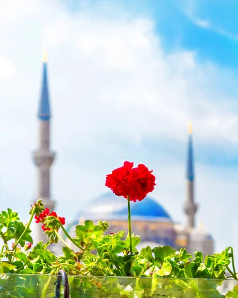 Önünde Kırmızı Çiçekler Arkasında Minareler Olan Bir Cami Mavi Gökyüzü — Stok fotoğraf