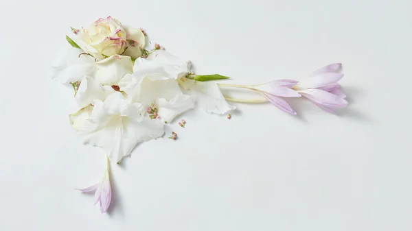 Moldura de flores em fundo branco — Fotografia de Stock
