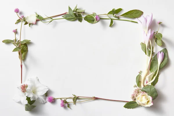 Moldura de flores em fundo branco isolado — Fotografia de Stock