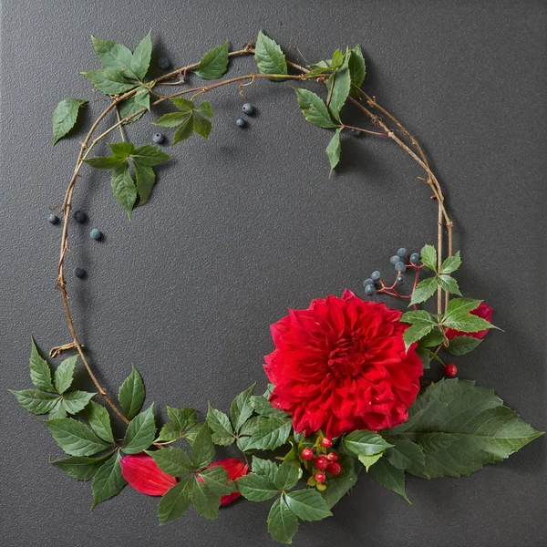 Round frame of branches and flower — Stock Photo, Image