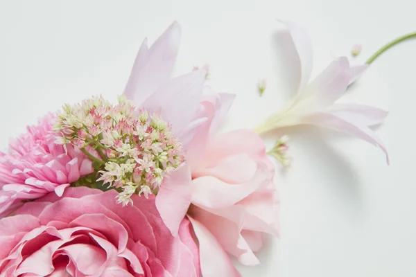 Moldura no canto de uma flor rosa — Fotografia de Stock