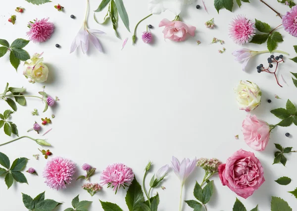 Borde de rosas rosadas y blancas con hojas verdes —  Fotos de Stock