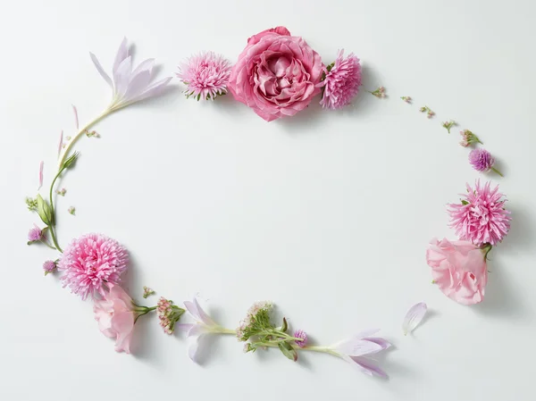 Virágok keret fehér háttér — Stock Fotó