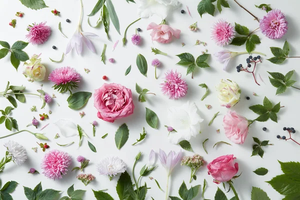 Elegante achtergrond van roze rozen — Stockfoto