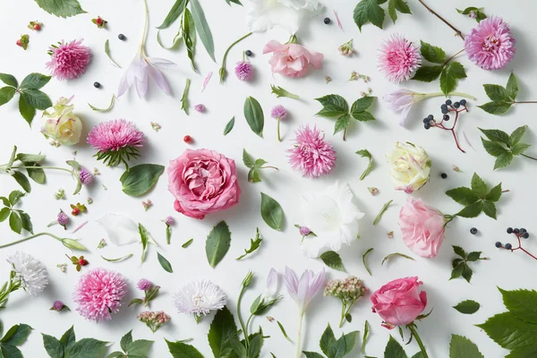 Fundo elegante de rosas rosa — Fotografia de Stock