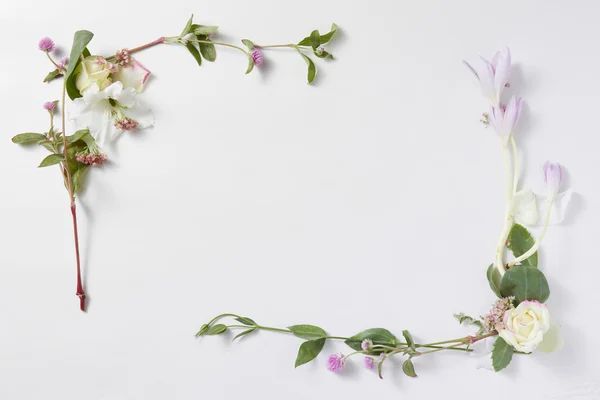 Moldura de flores em fundo branco isolado — Fotografia de Stock