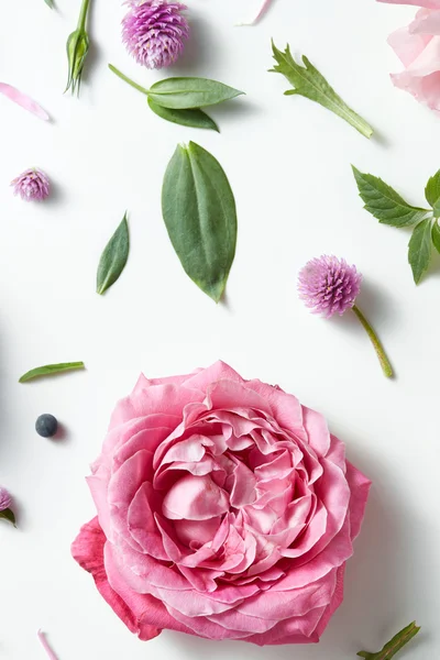 Vintage Hintergrund von rosa Rosen — Stockfoto