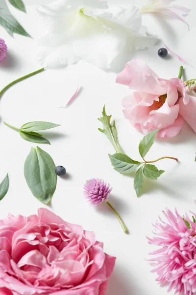 Hintergrund aus verschiedenen Blumen — Stockfoto