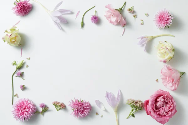 분홍색과 흰색 장미 테두리 — 스톡 사진