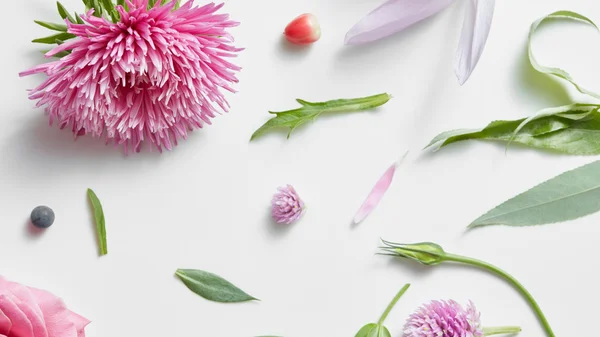 Collage photo pour le design floral . — Photo