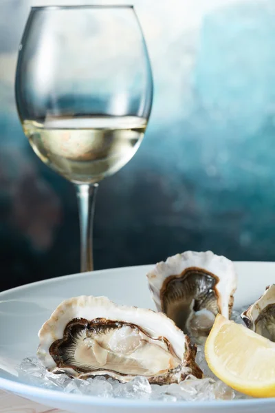 Frische Austern und ein Glas Wein — Stockfoto