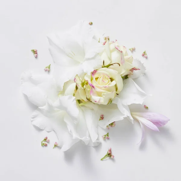 White background from flowers — Stock Image White background from flowers Stock Picture