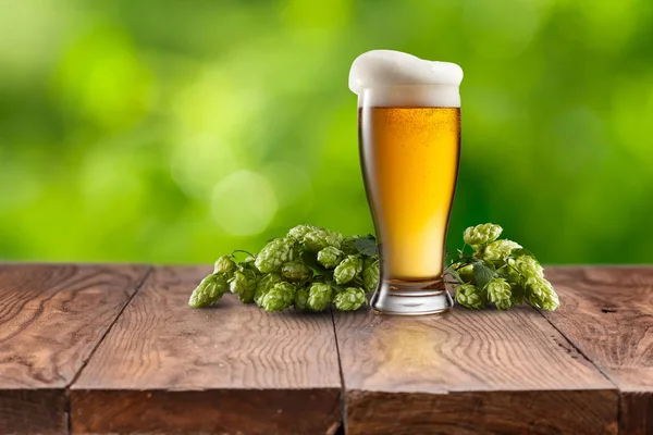 Still life with a keg of beer and hops. — Stock Photo, Image