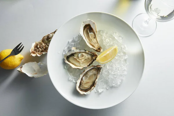 Ostras con limón en platos — Foto de Stock