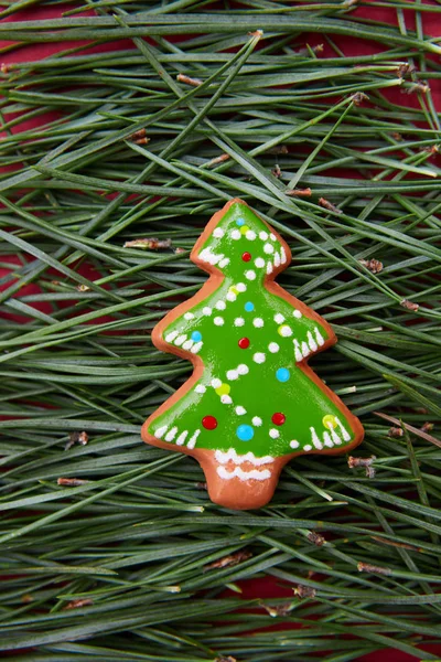 Árbol de Navidad de agujas de pino y galletas —  Fotos de Stock