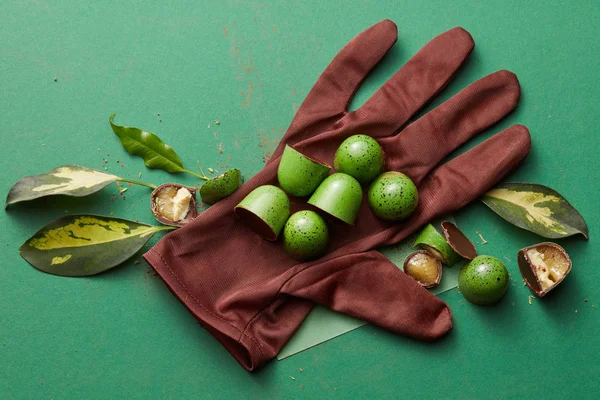 Schöne grüne Bonbons — Stockfoto